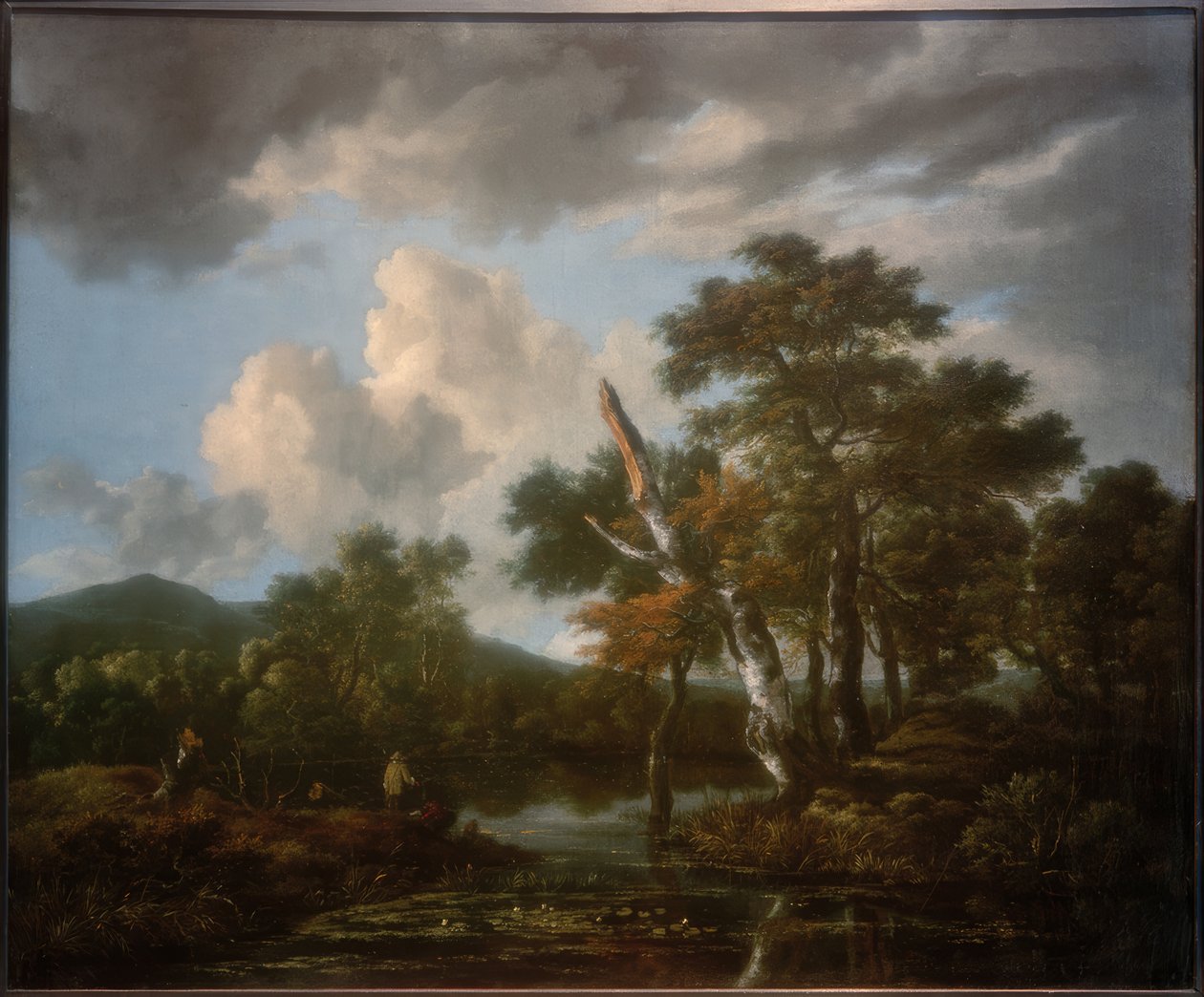 Skoglandskap med dam av Jacob van Ruisdael