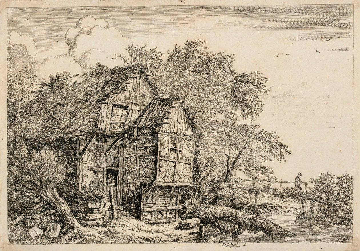 Trebro av Jacob van Ruisdael