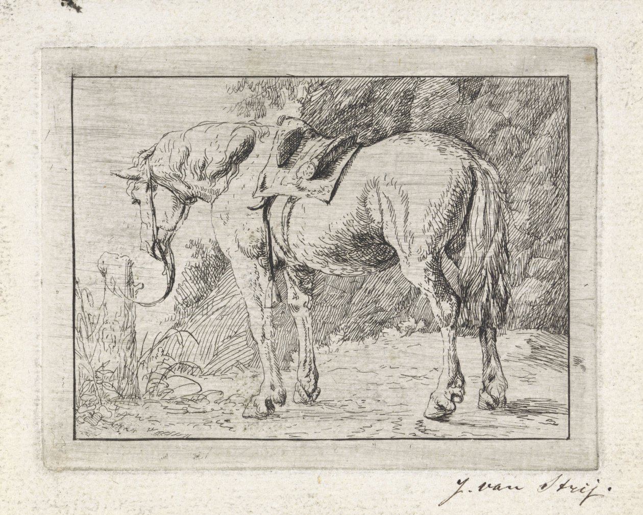 Salet hest bundet til en stang av Jacob van Strij