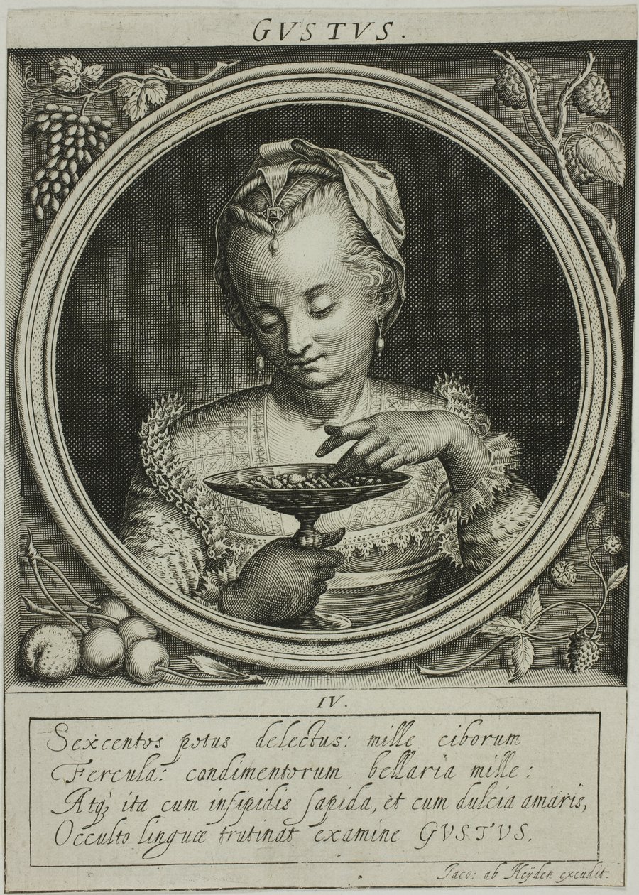  av Jacob van der Heyden