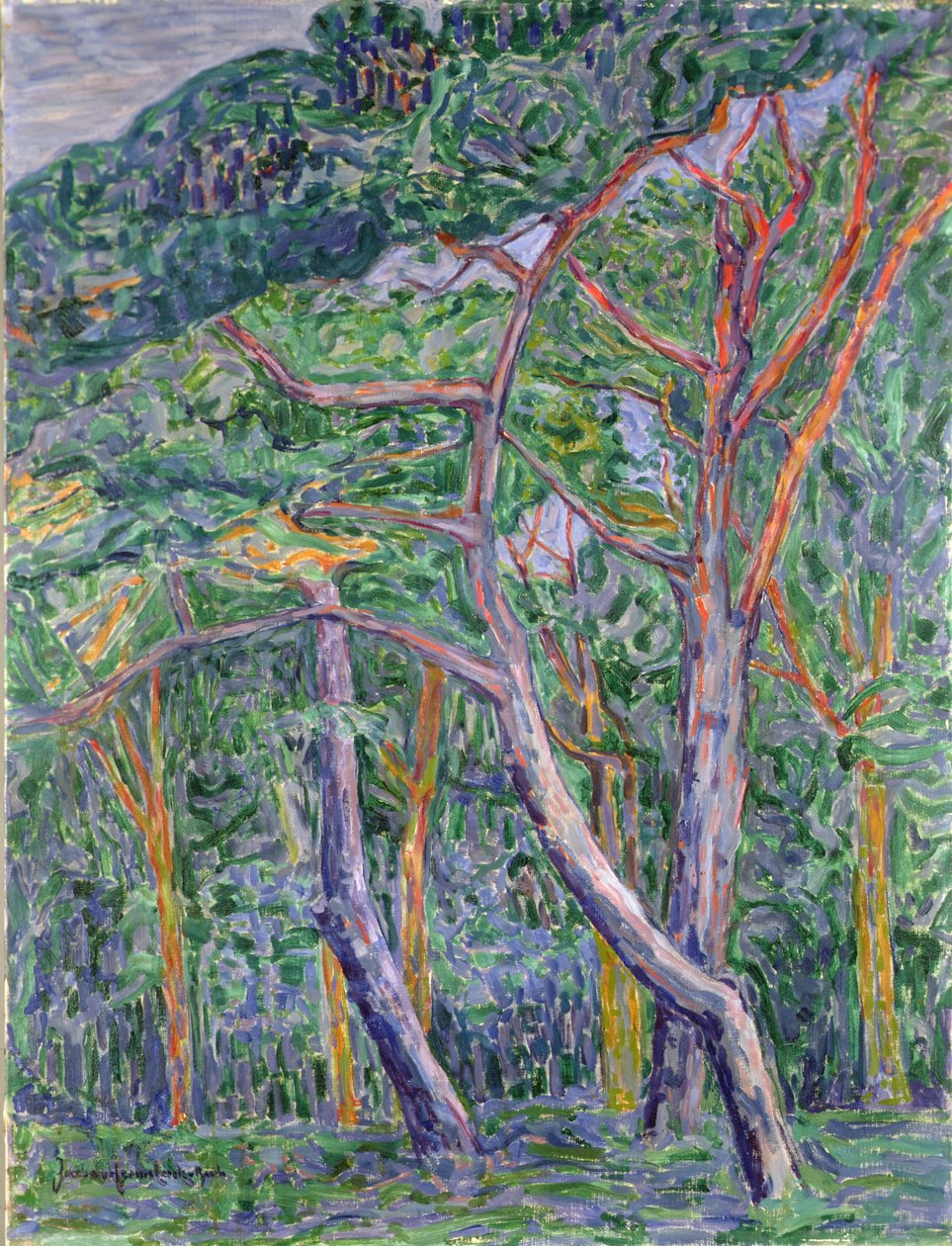 Furutrær av Jacoba van Heemskerck