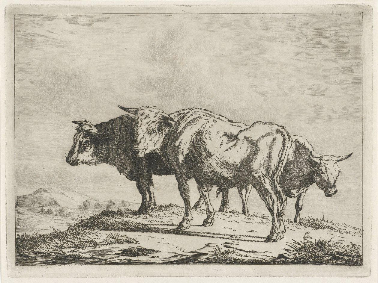 Tre okser av Jacobus Cornelis Gaal