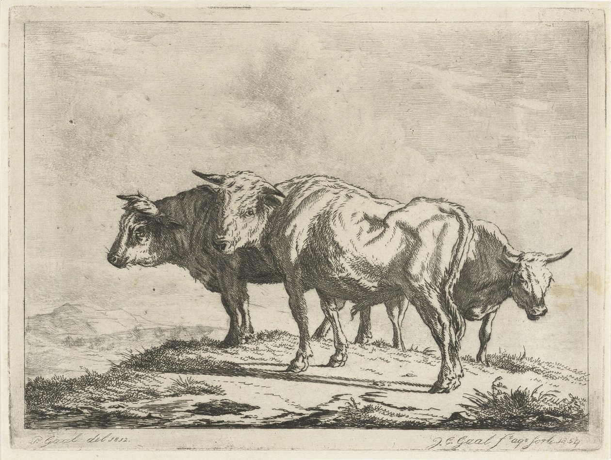 Tre okser av Jacobus Cornelis Gaal