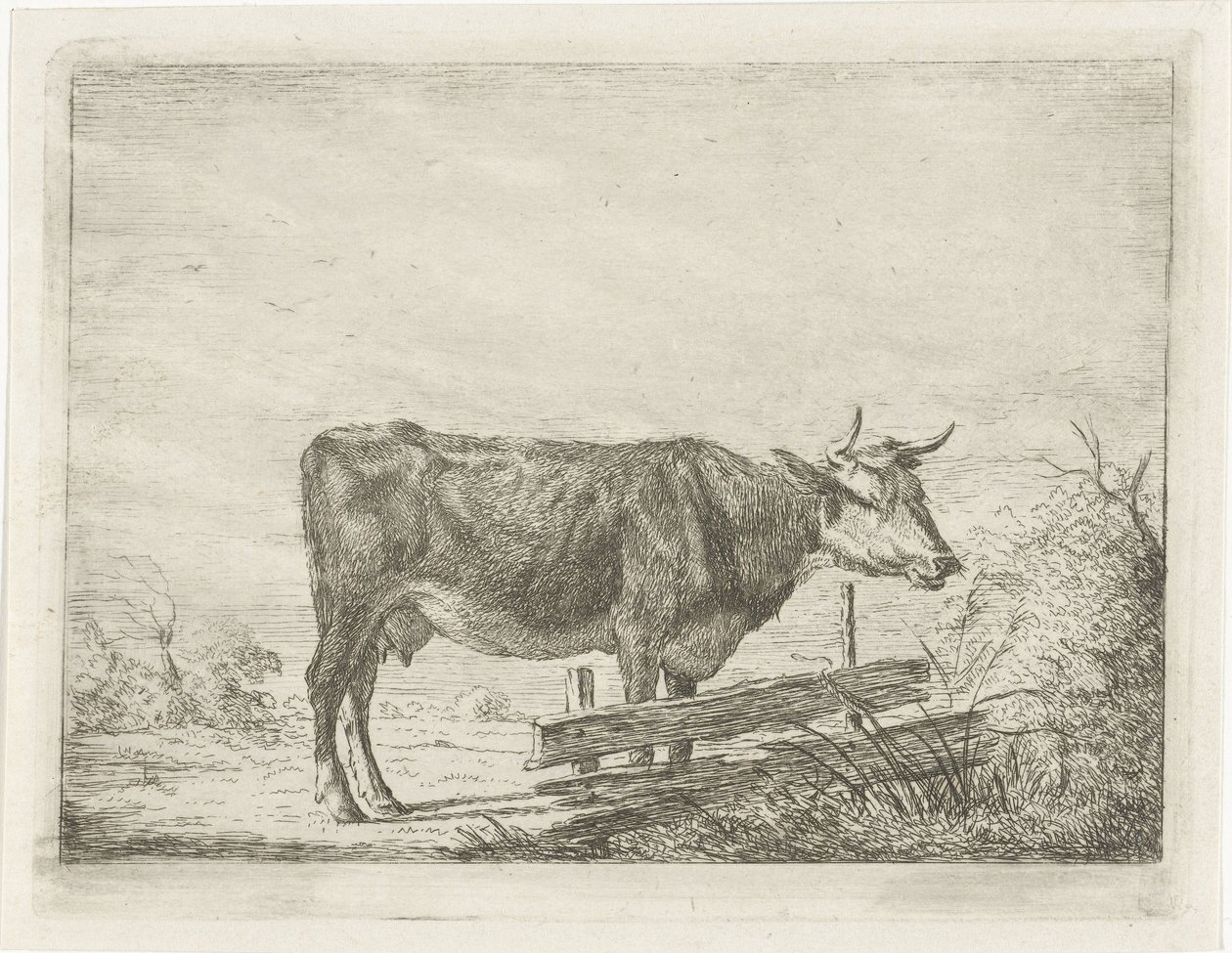 Ku som står ved et gjerde av Jacobus Cornelis Gaal