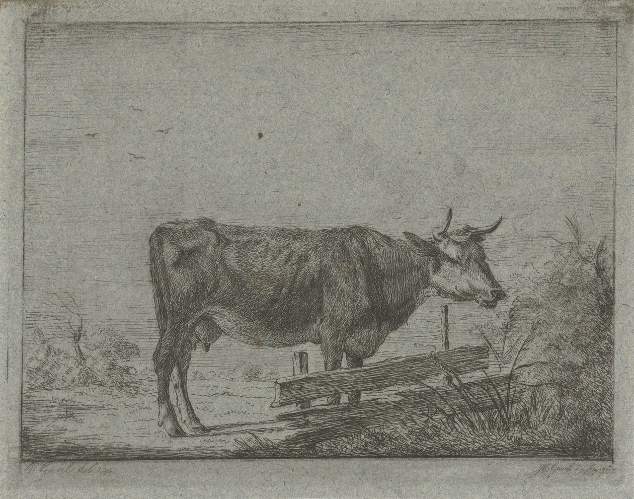 Ku som står ved et gjerde av Jacobus Cornelis Gaal
