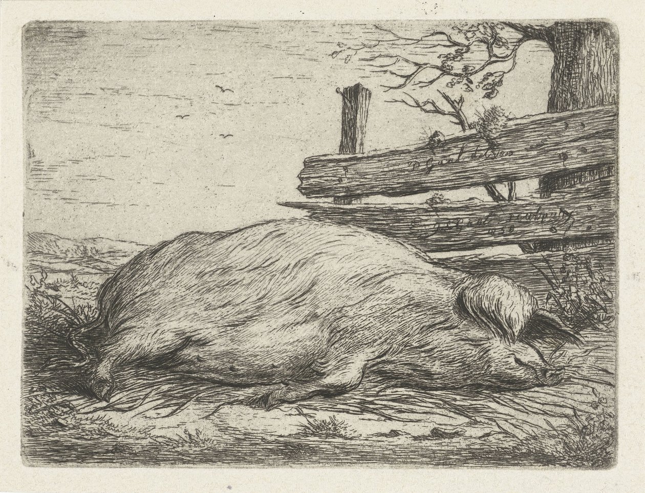 Liggende villsvin av Jacobus Cornelis Gaal