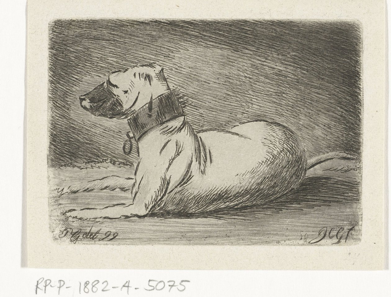 Liggende hund med halsbånd av Jacobus Cornelis Gaal