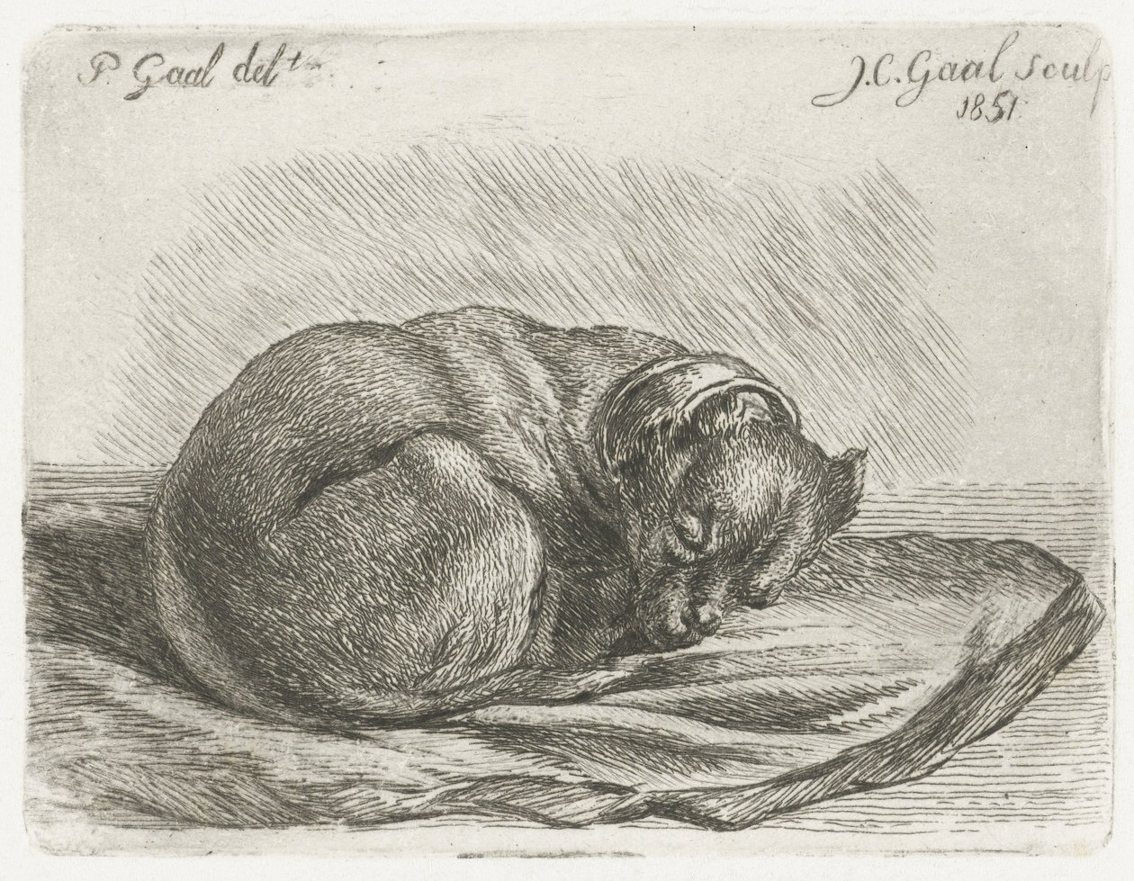 Sovende hund, liggende på et teppe av Jacobus Cornelis Gaal