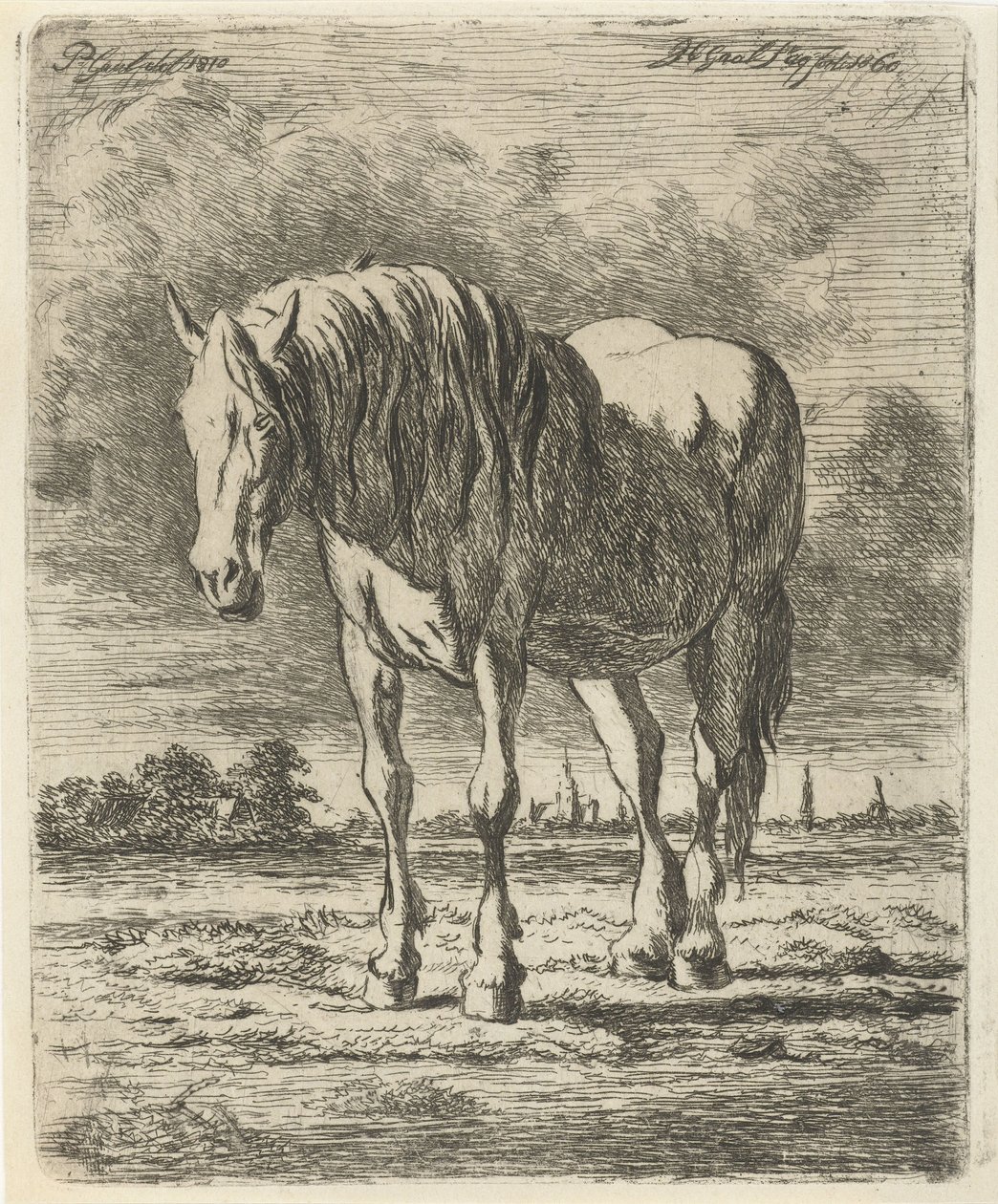 Stående hvit hest av Jacobus Cornelis Gaal