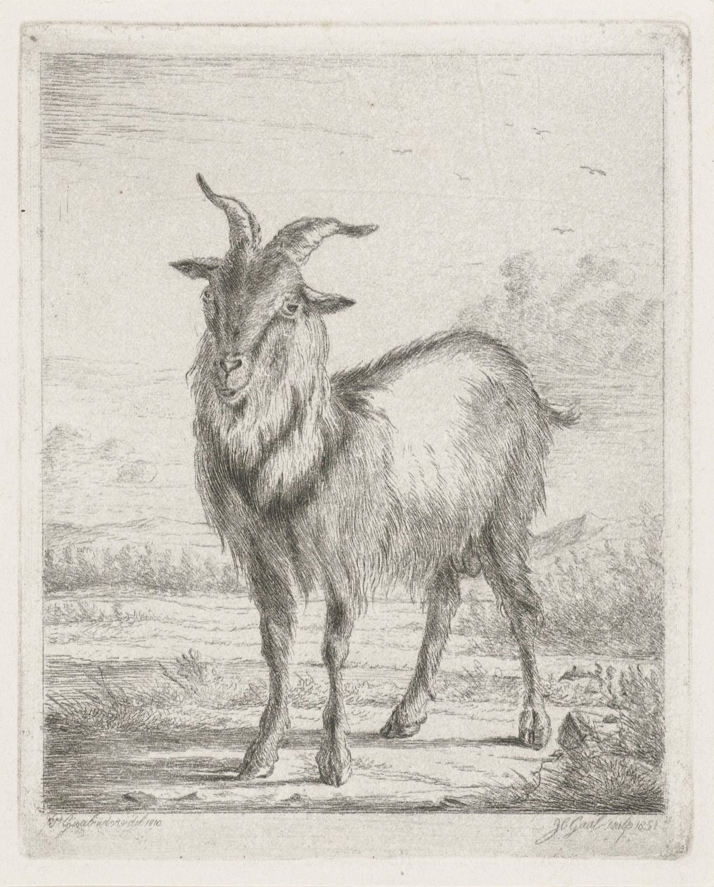 stående geit av Jacobus Cornelis Gaal