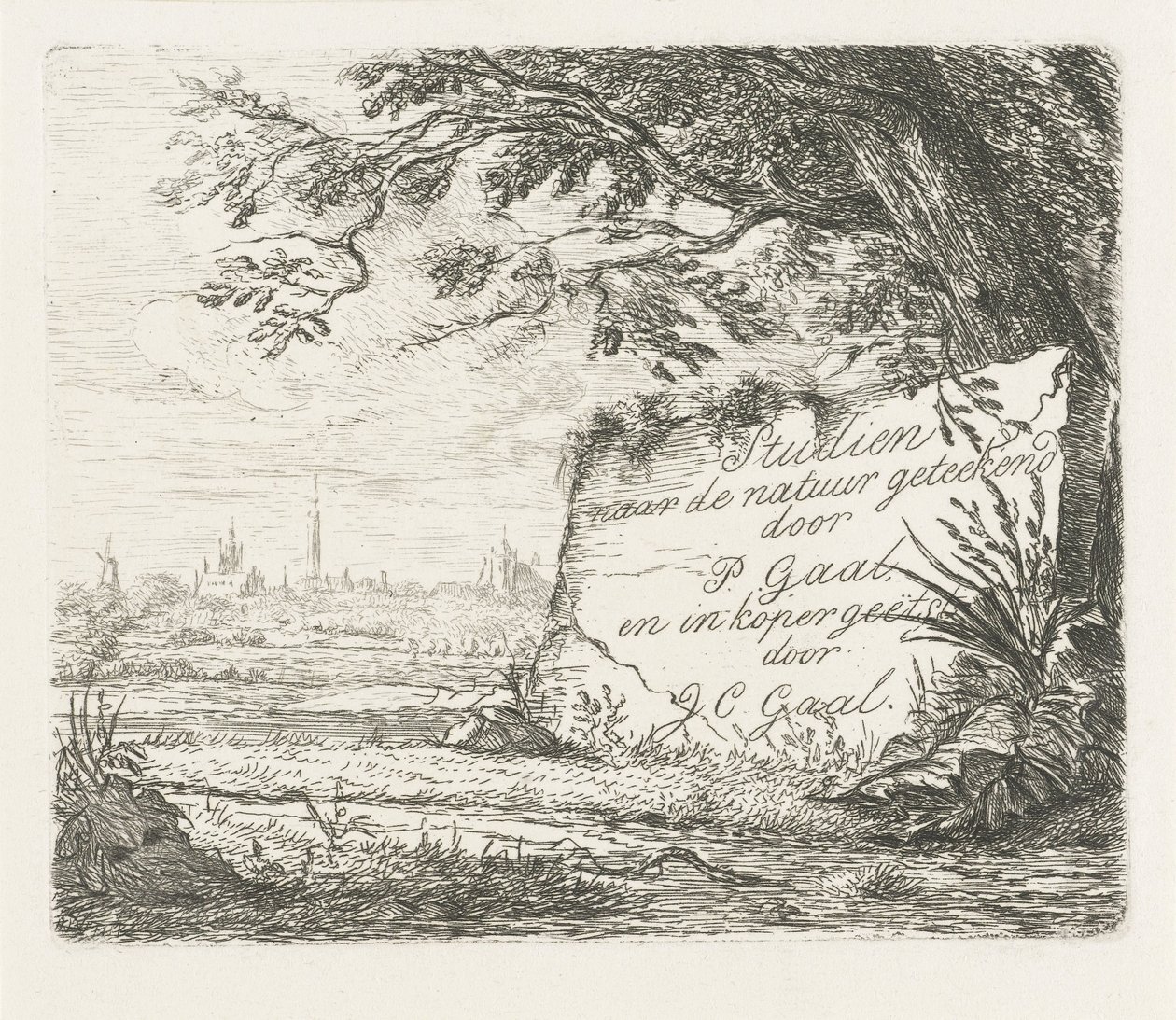 Tittelbilde for: Studier hentet fra naturen av Jacobus Cornelis Gaal