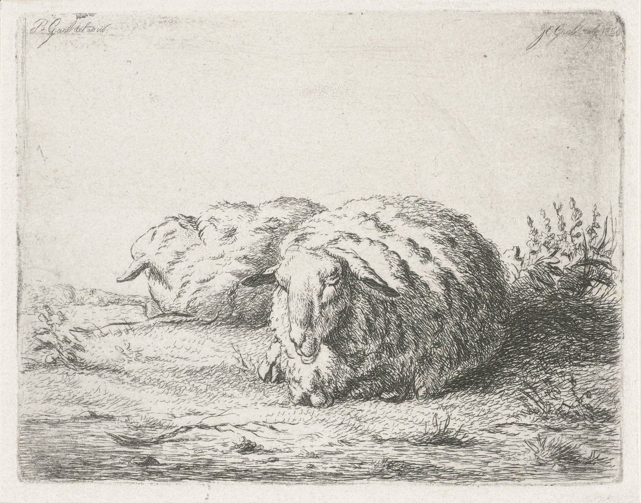 To liggende sauer av Jacobus Cornelis Gaal
