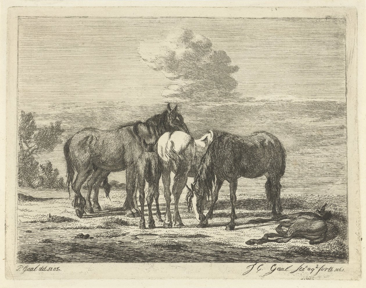 Fire hester og to føll av Jacobus Cornelis Gaal