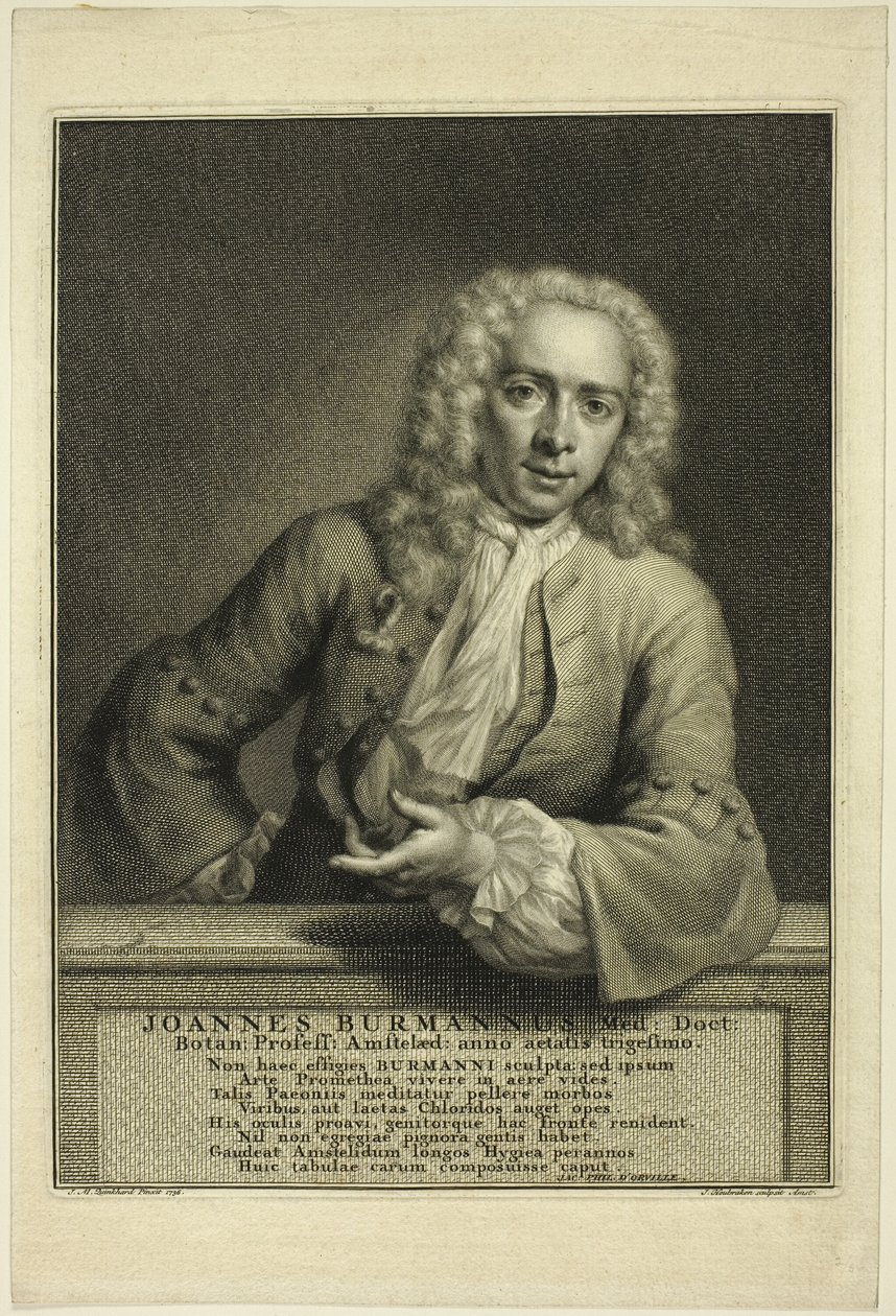  av Jacobus Houbraken