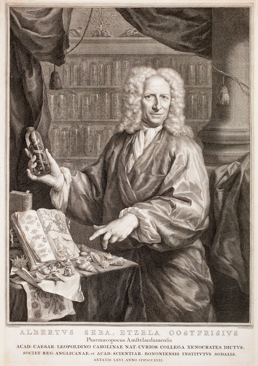 Portrett av Albertus Seba, etter Jan Maurits Quinkhard av Jacobus Houbraken
