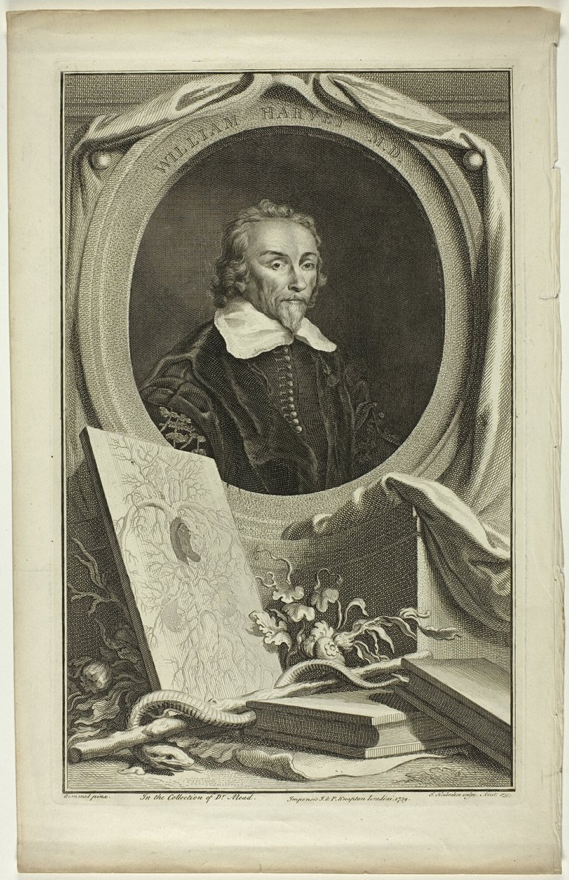 William Harvey, M.D. av Jacobus Houbraken