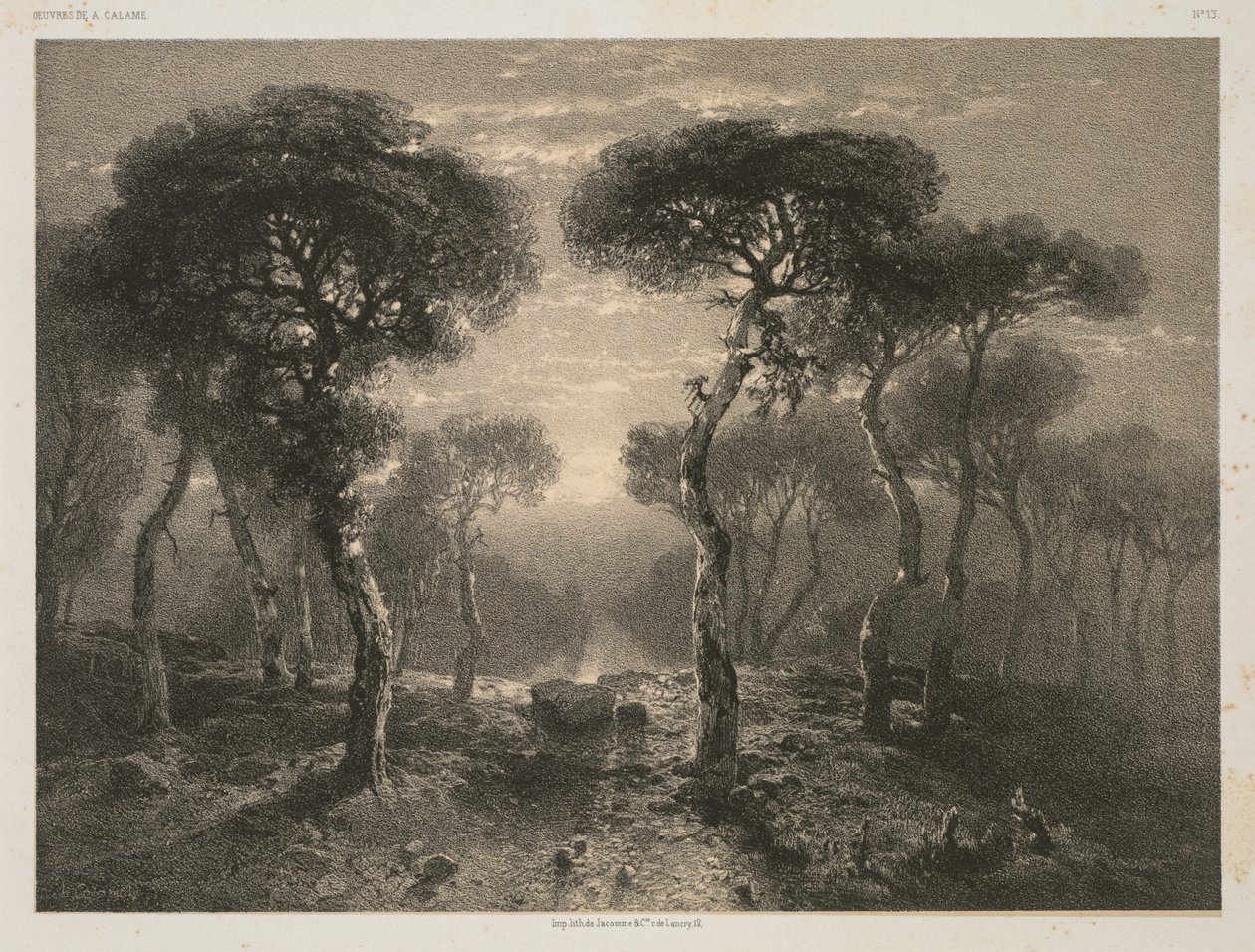 Verker av A. Calame, nr. 13: Forest of Sierre in Valais av Jacomme and Cie. R. de Lancry, 12, Paris