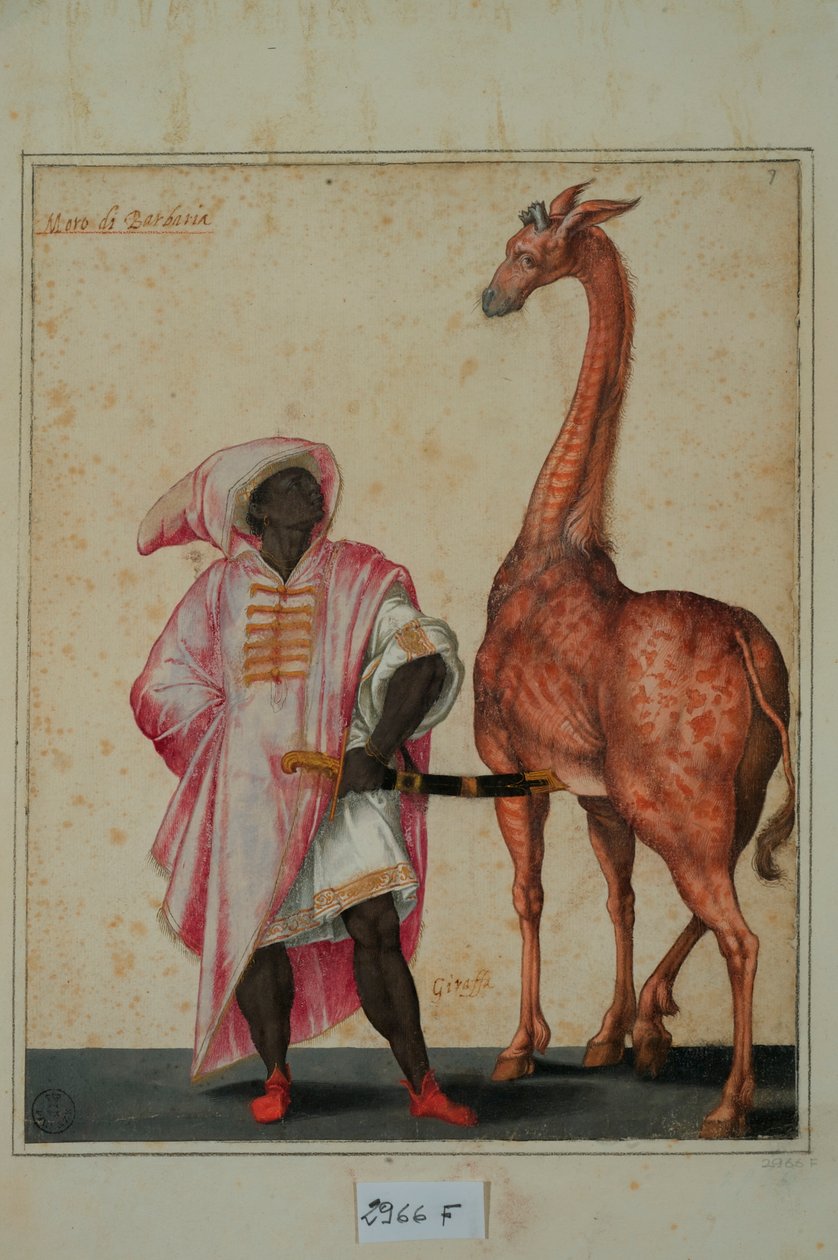 Berber med en sjiraff (tempera på papir) av Jacopo Ligozzi