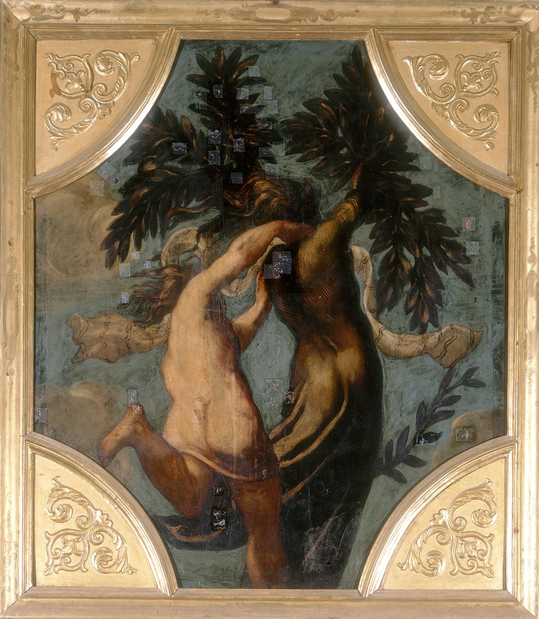Apollo og Daphne, åttekant av Jacopo Robusti Tintoretto