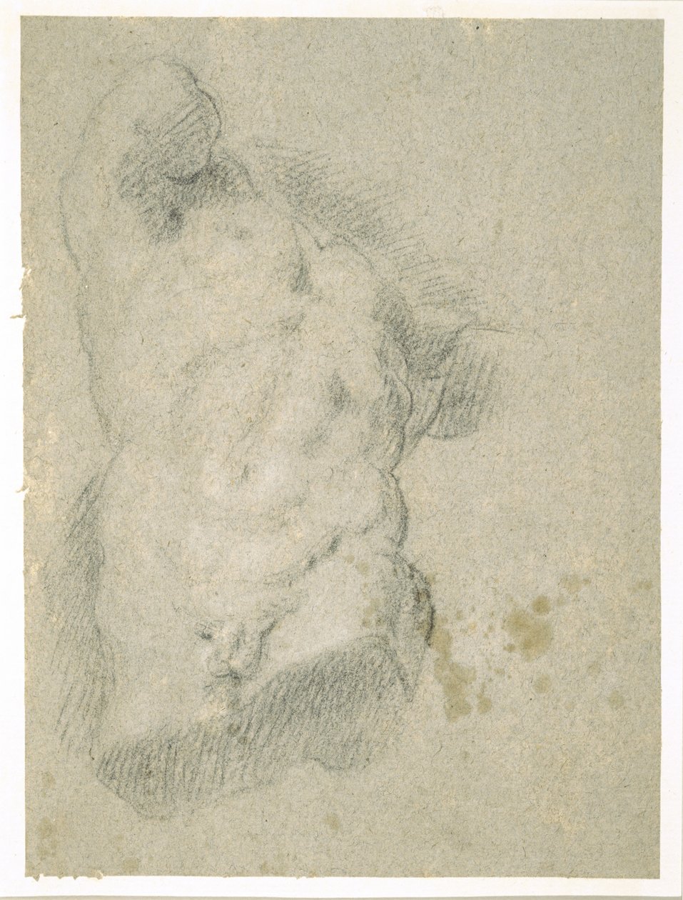 Tegning av en mannlig torso (kull på blått papir) av Jacopo Bassano