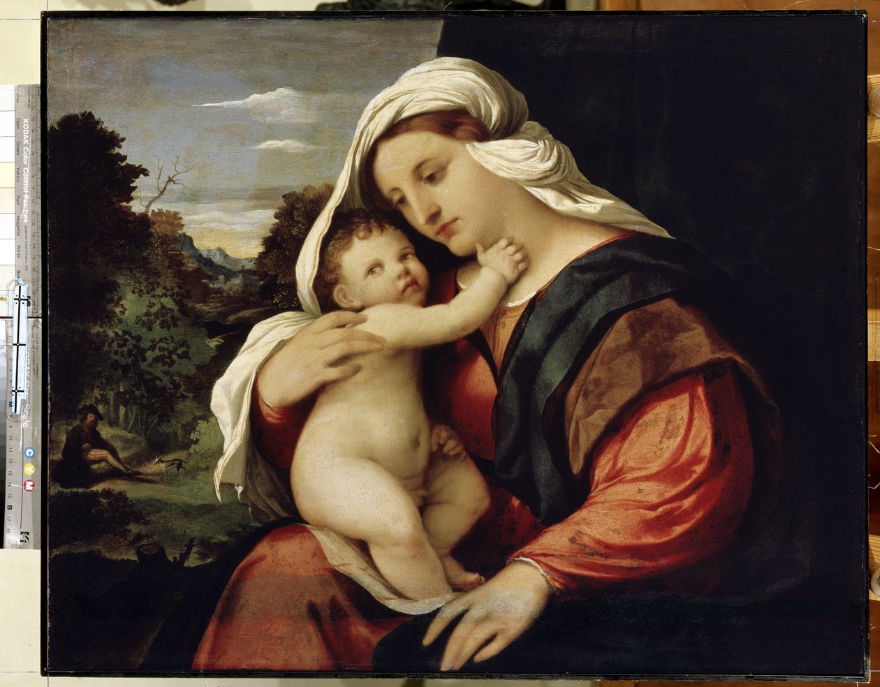 Jomfru og barn. Maleri av Jacopo Palma il Vecchio (Den gamle eller eldste av Jacopo (c.1480 1528) Palma