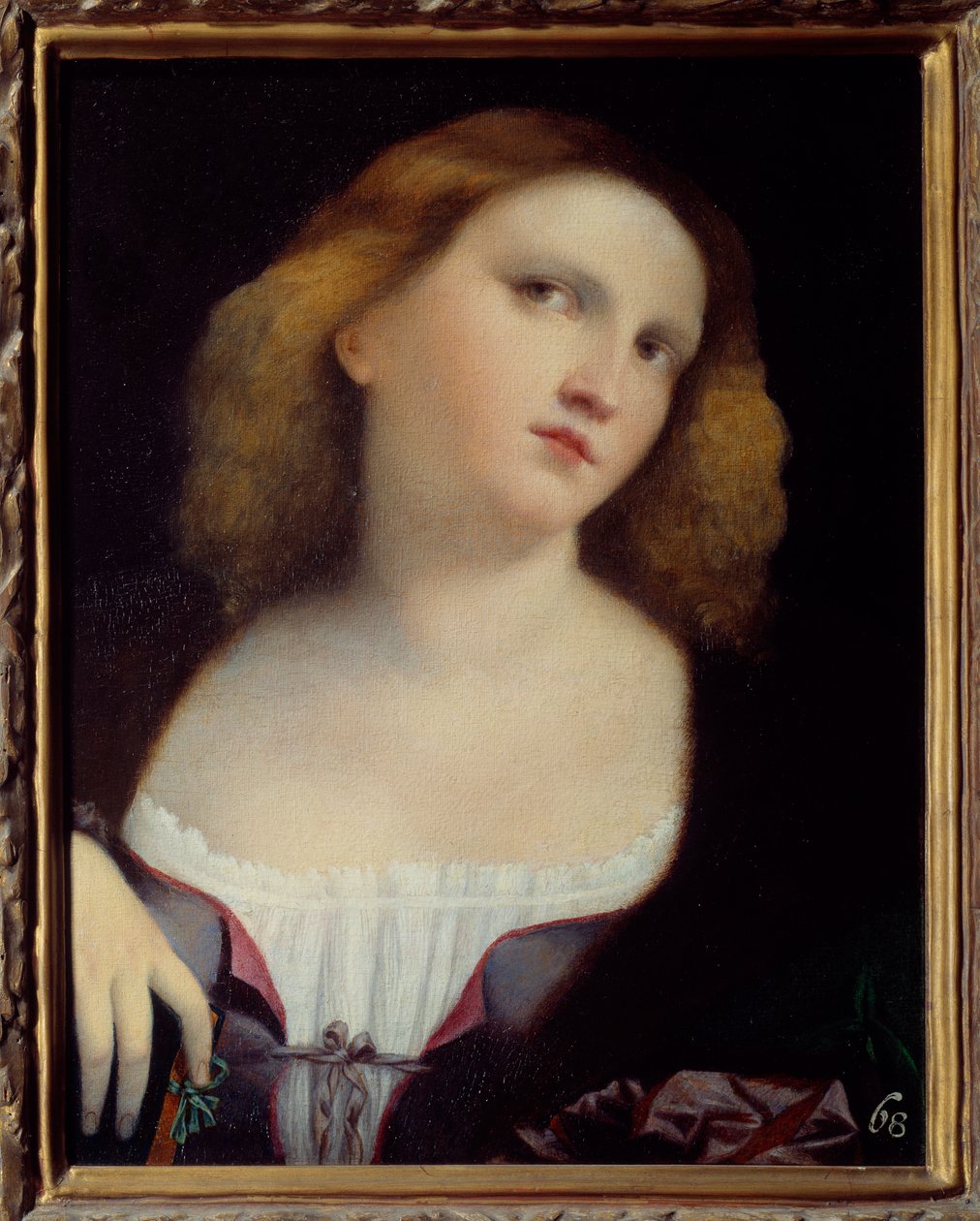 Portrett av kvinnemaleri på tre transponert på lerret av Jacopo Palma il Vecchio (1480-1528) 1513 Dim. 0,48 x 0,38 m Lyon, Musee des Beaux Arts av Jacopo (c.1480 1528) Palma