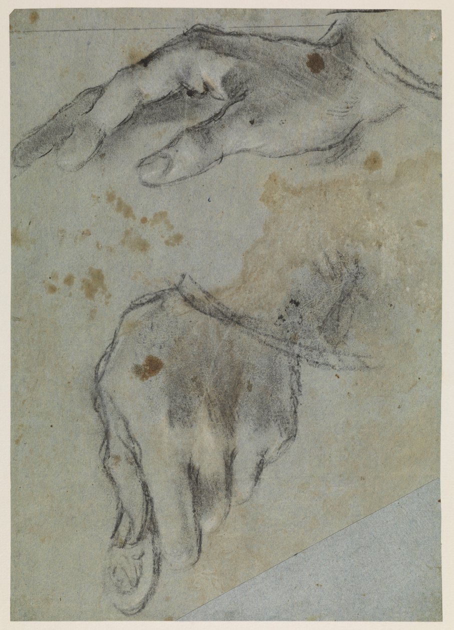 Studier av hender, recto, 1500-tallet av Jacopo Bassano