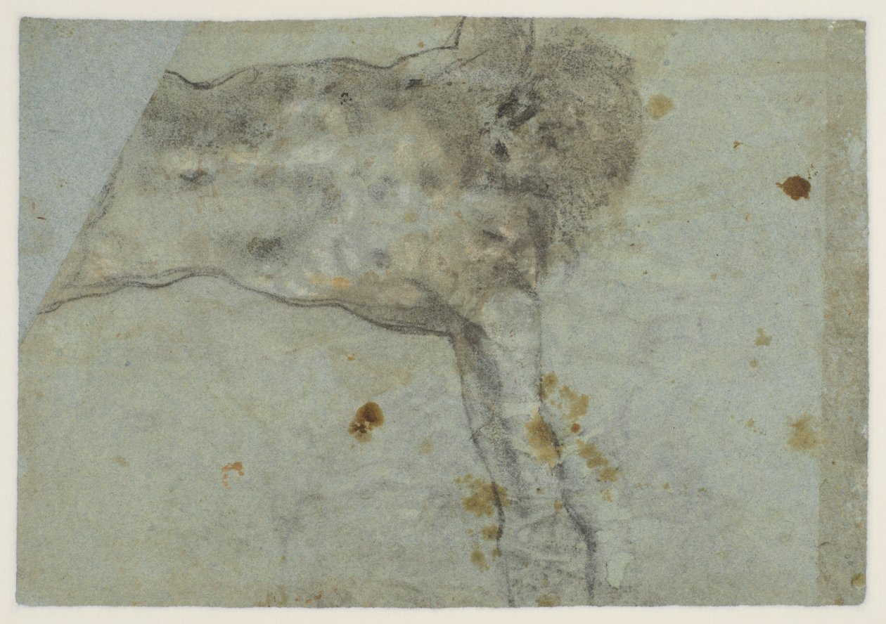 Studie av en korsfestet Kristus, verso, 1500-tallet av Jacopo Bassano
