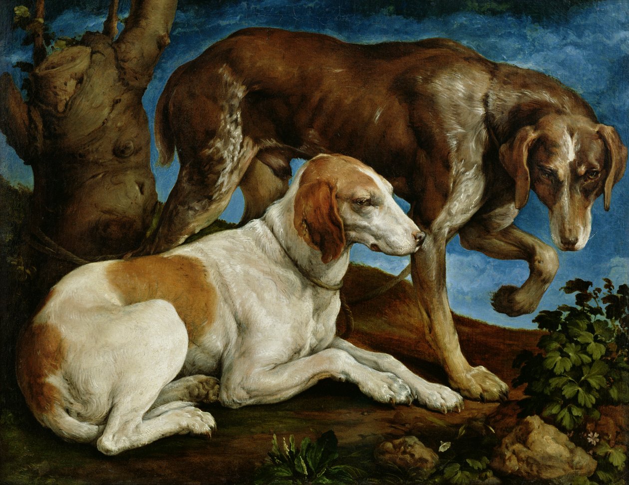 To jakthunder bundet til en trestubbe, ca. 1548-50 av Jacopo Bassano