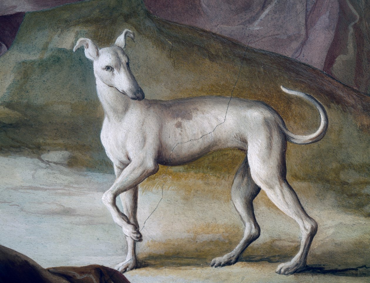 Hund, detalj fra freskomaleri av Jacopo Guarana (1720-1808), sentralhallen til Villa Contarini, Valnogaredo, Veneto, Italia av Jacopo Guarana