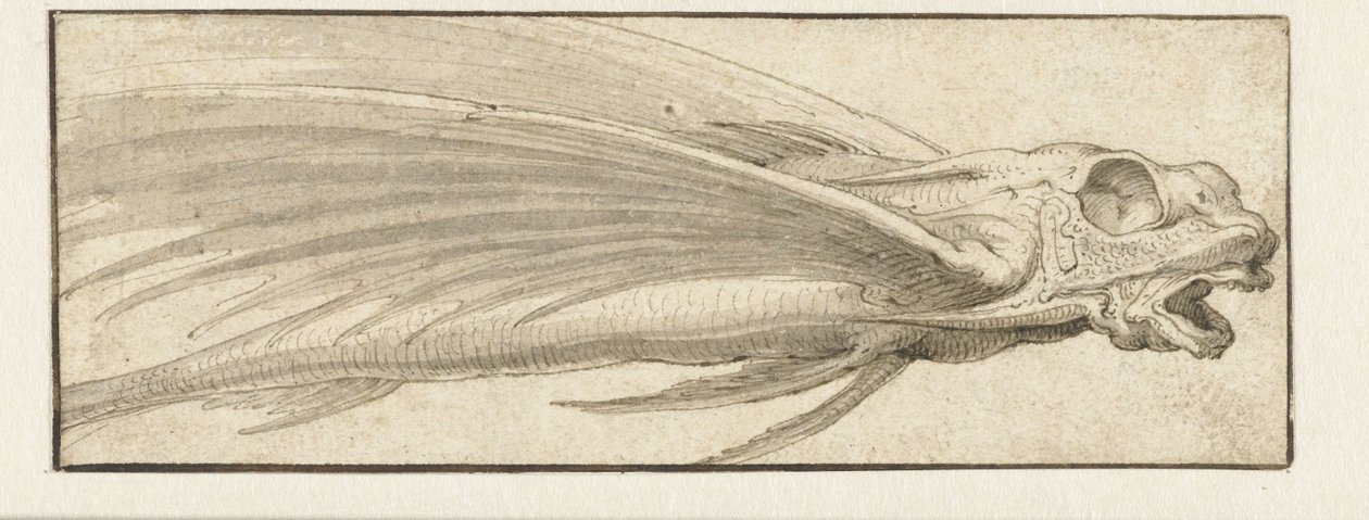 Flyvende fisk av Jacopo Ligozzi