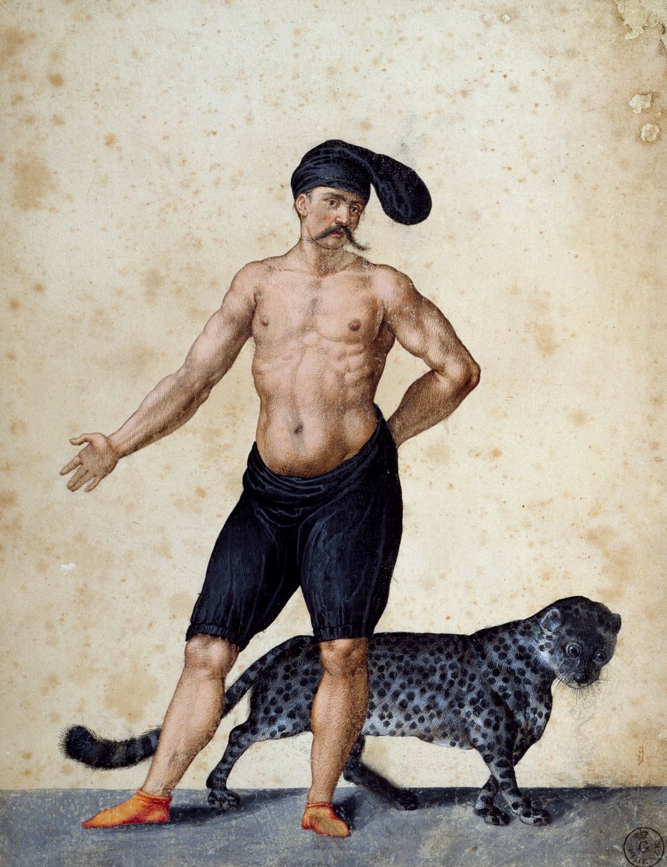 Ung afrikansk mann som står foran, halvkledd iført lang berretta (hette) på hodet, med tiger bak seg, tegning av Jacopo Ligozzi (1547-1627) av Jacopo Ligozzi