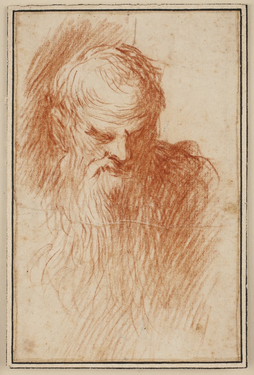 Hodet til en skjeggete mann av Jacopo Palma