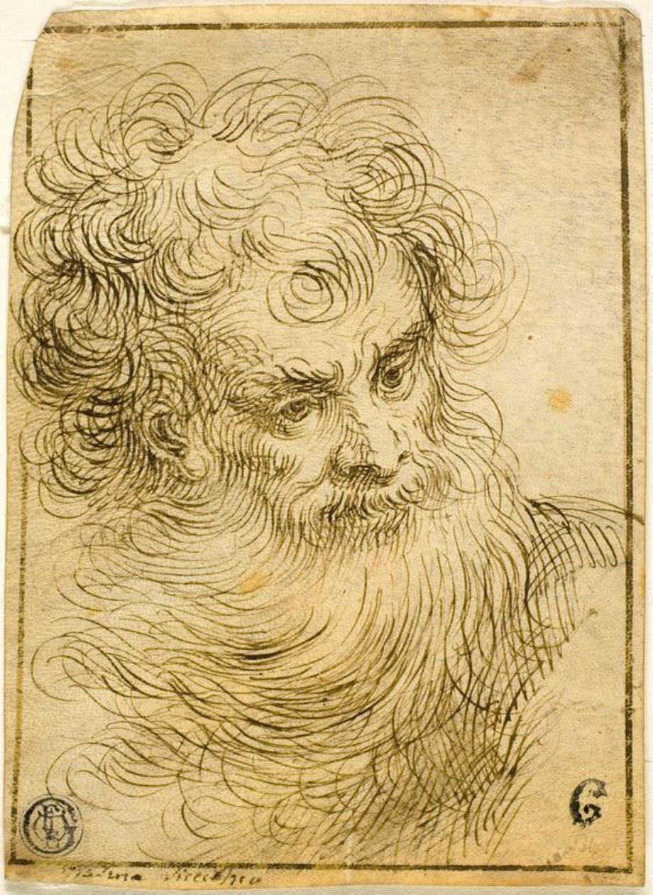 Head of Bearded Old Man (recto); Dekorativ skisse av blomster og blader (verso) av Jacopo Palma il Giovane