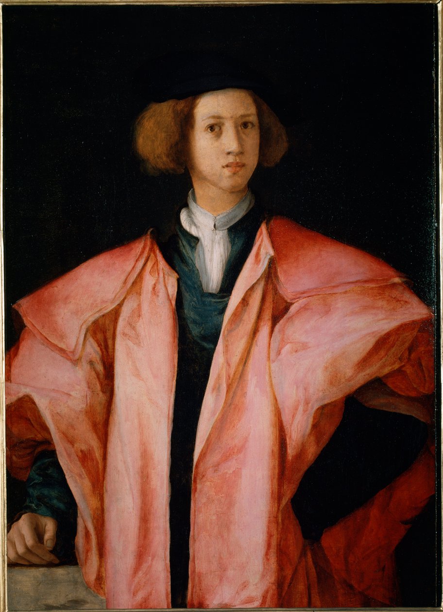 Portrett av en ung mann sannsynligvis Alessandro de Medicis - olje på panel av Jacopo Pontormo