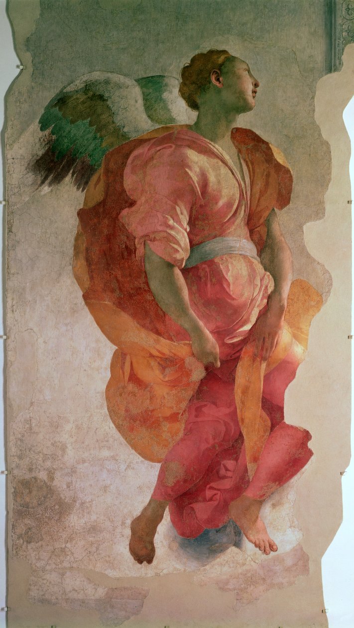 Bebudelsen, detalj av en engel, ca. 1527 freskodetalj av 57520, se også 94965 av Jacopo Pontormo