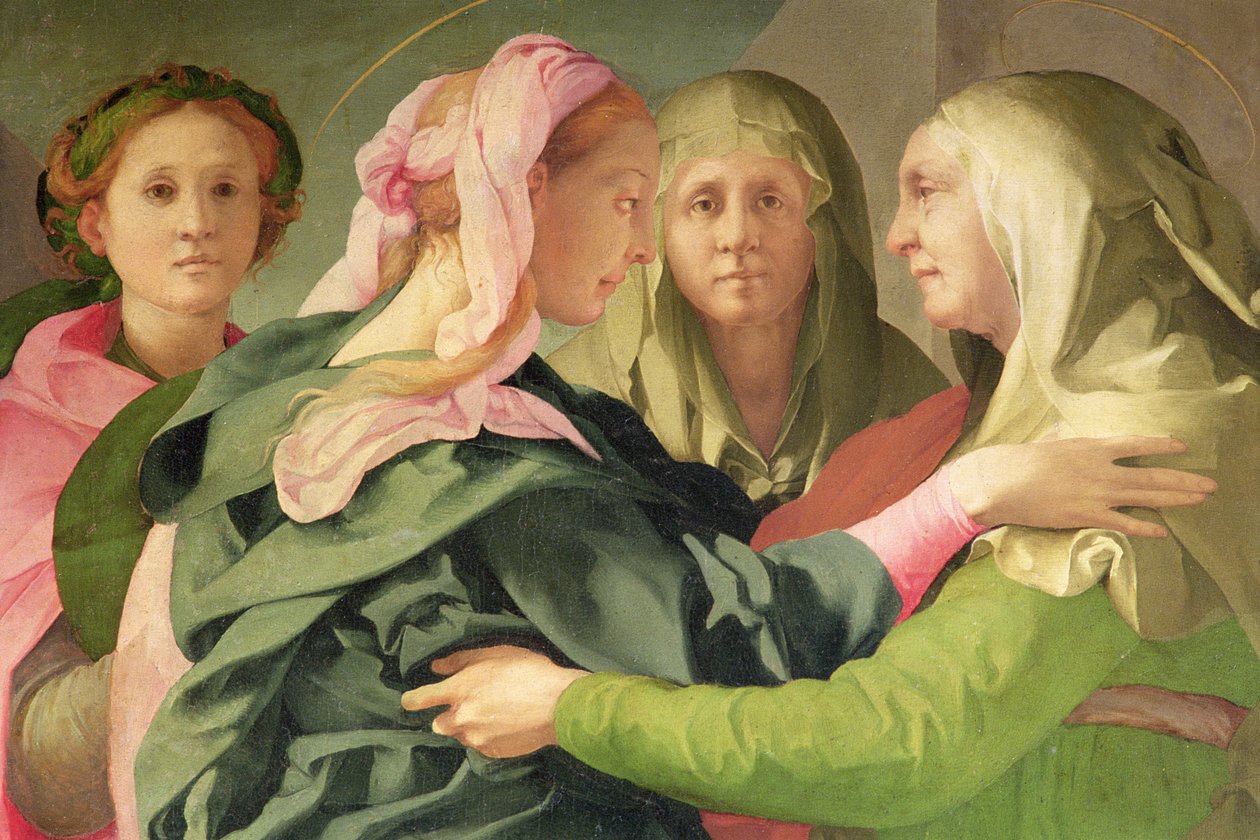 Besøksdetaljene til 60438 av Jacopo Pontormo