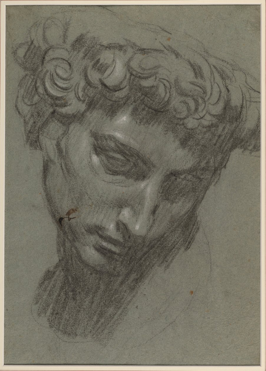 Portrett av Giuliano de’ Medici, etter Michelangelo (recto) (svart og hvitt kritt på blått papir) av Jacopo Robusti (workshop of) Tintoretto
