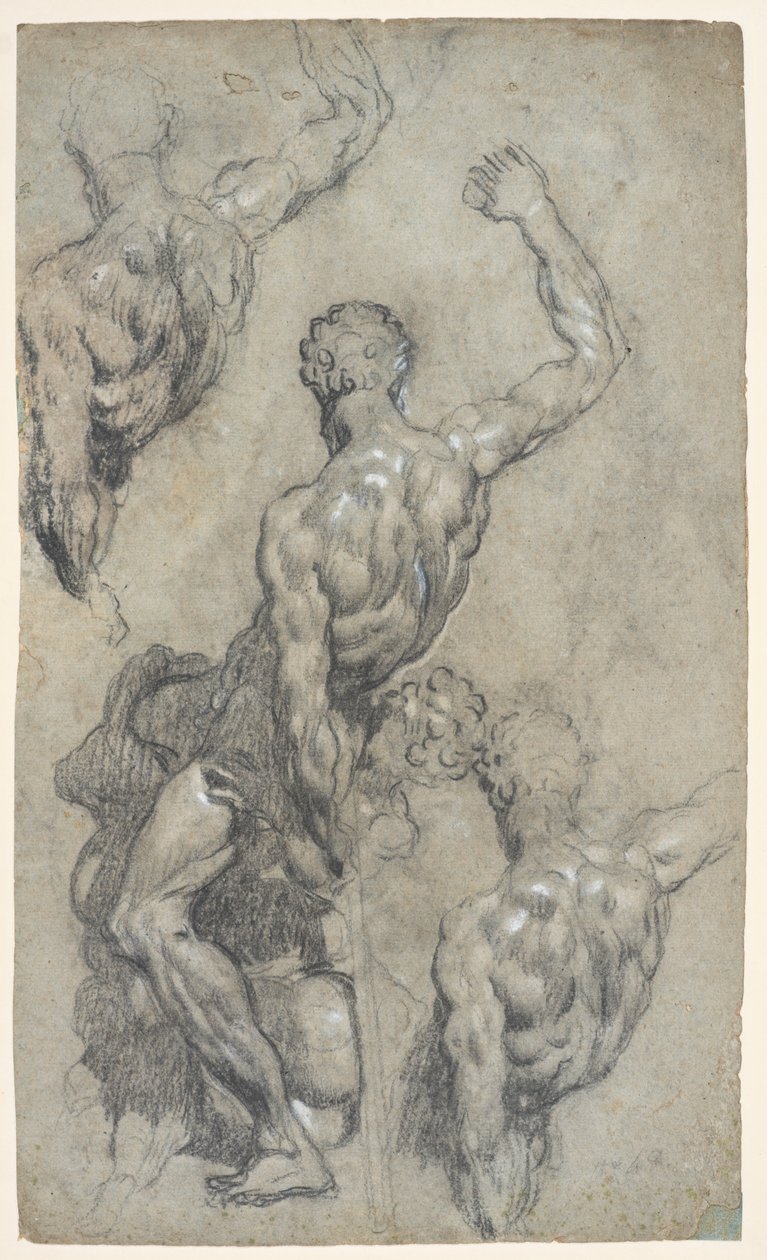 Studier av Michelangelos "Samson and the Philistines", ca. 1575–85 (kritt, kull, gouache, papir) av Jacopo Robusti (workshop of) Tintoretto