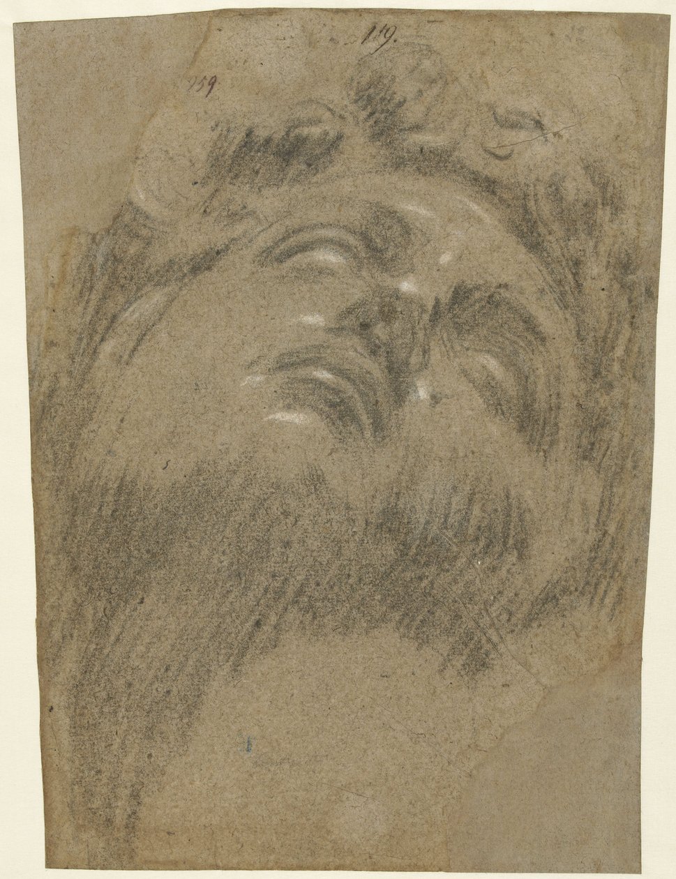 Giuliano dei Medici etter Michelangelo, ca. 1550 (kritt på papir) av Jacopo Robusti Tintoretto