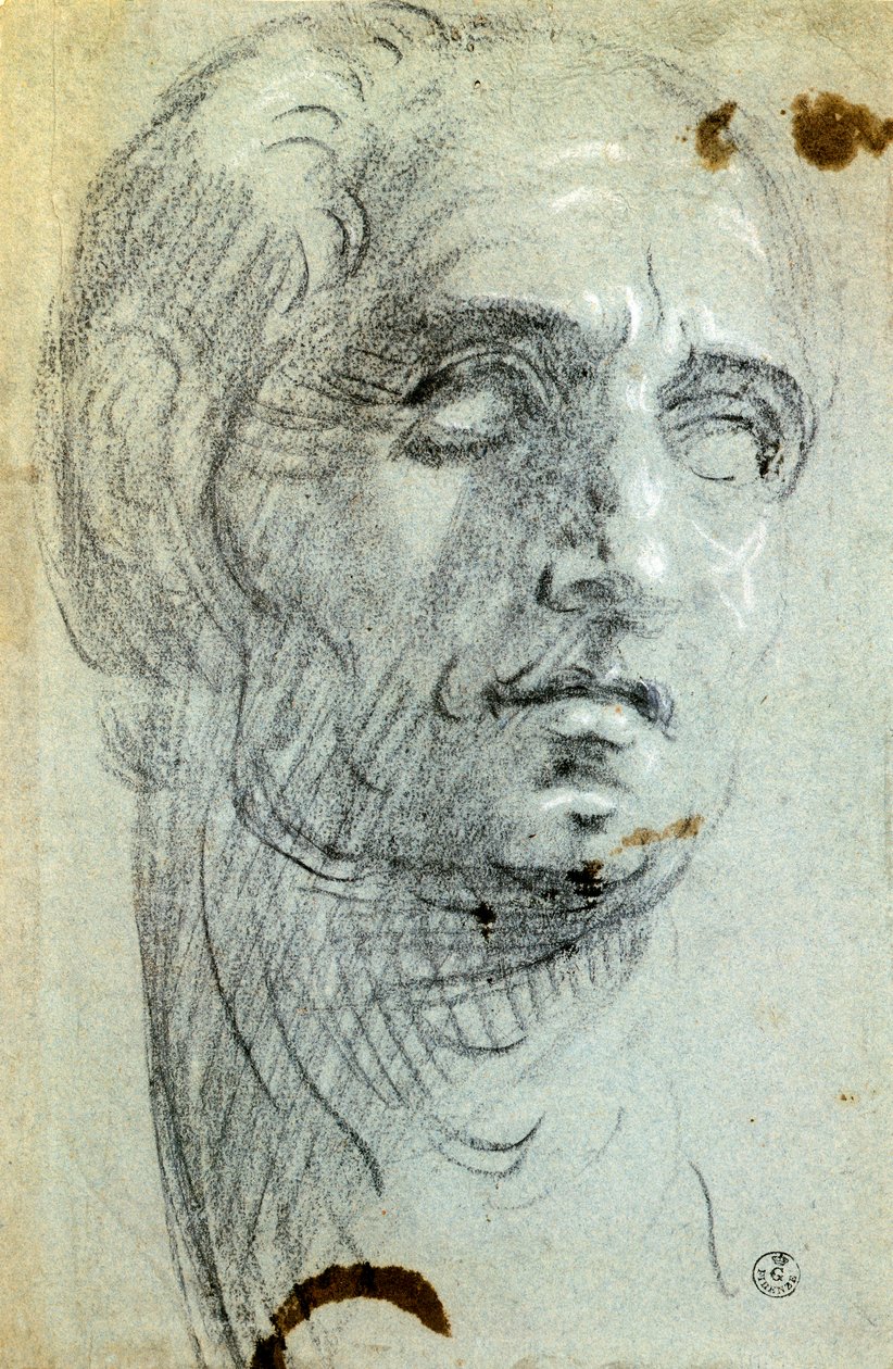 Mannlig hode av Jacopo Robusti kjent som Tintoretto (1518-1594), tegning av Jacopo Robusti Tintoretto