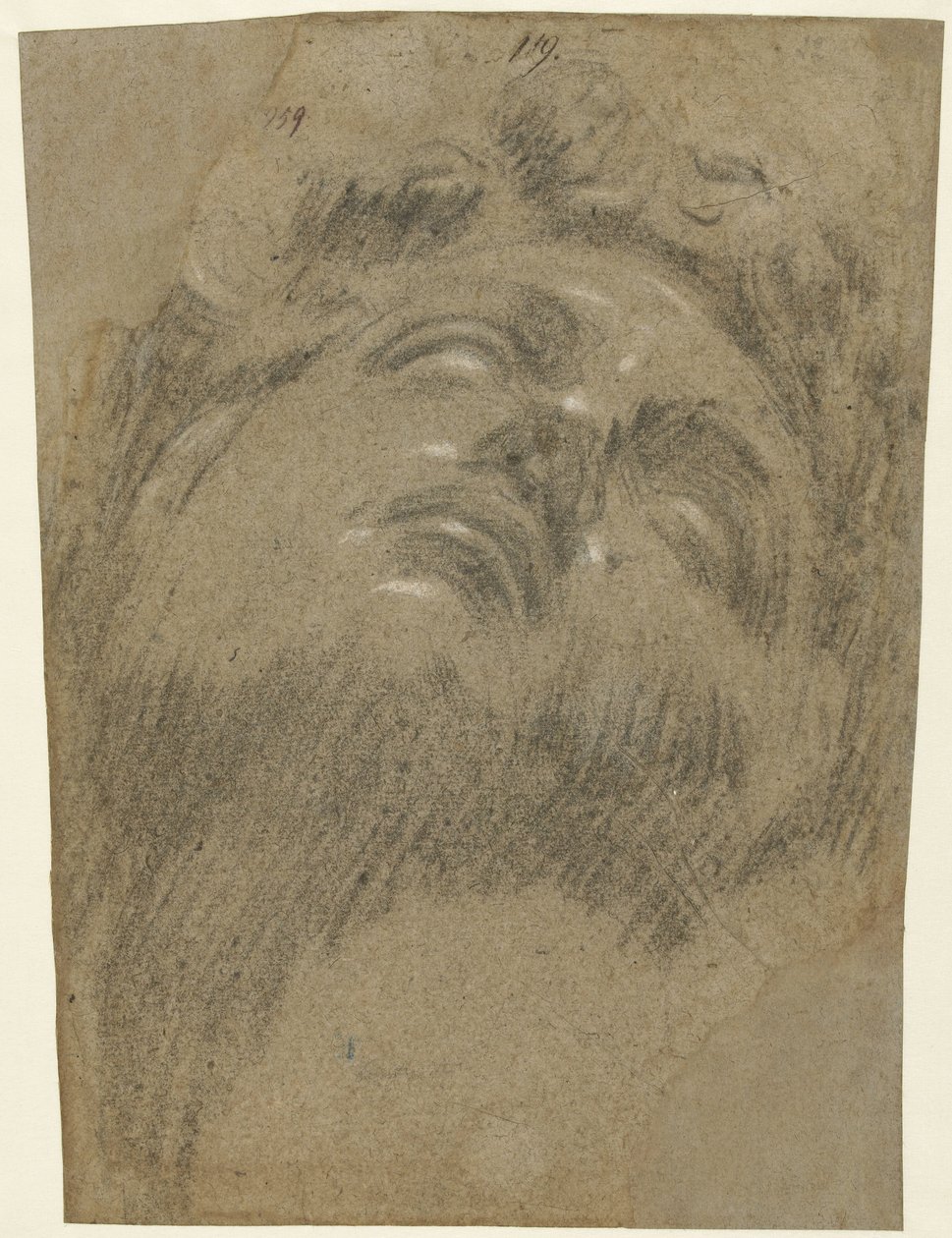 Hoved av Giuliano dei Medici av Jacopo Tintoretto