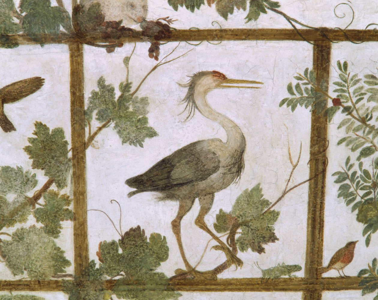 Ibis, fra en freske av en voliere i Villa Medici, ca. 1576-77 av Jacopo Zucchi