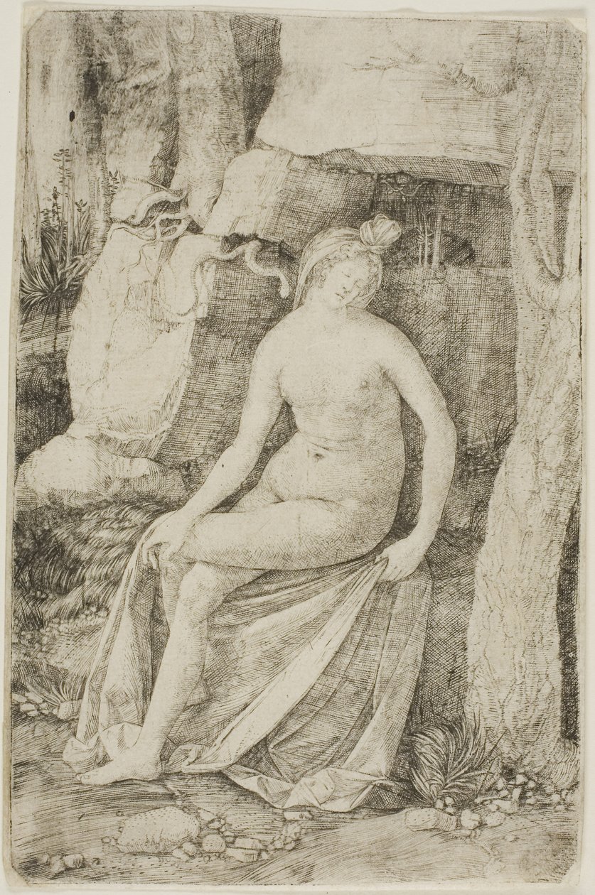  av Jacopo de