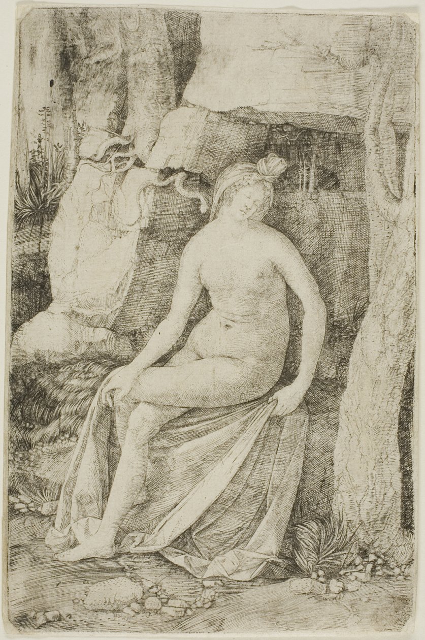  av Jacopo de