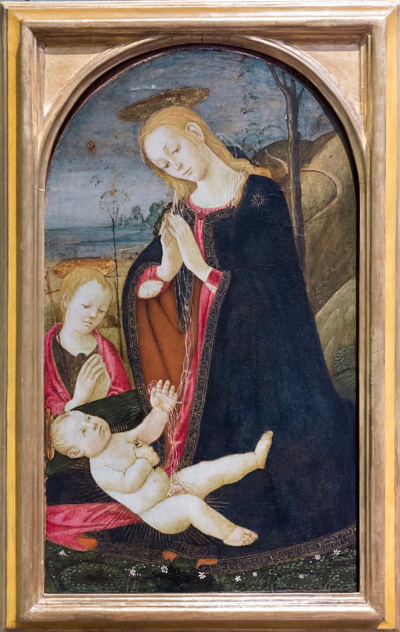 Tilbedelse av Kristus med den unge døperen Johannes av Jacopo del Sellaio