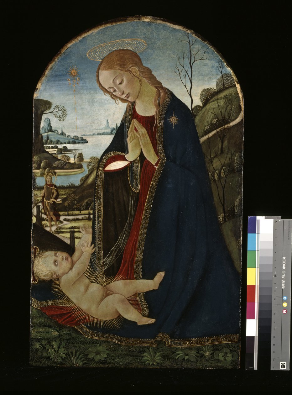 Madonna Adoring The Christ Child (olje på tre) av Jacopo del Sellaio