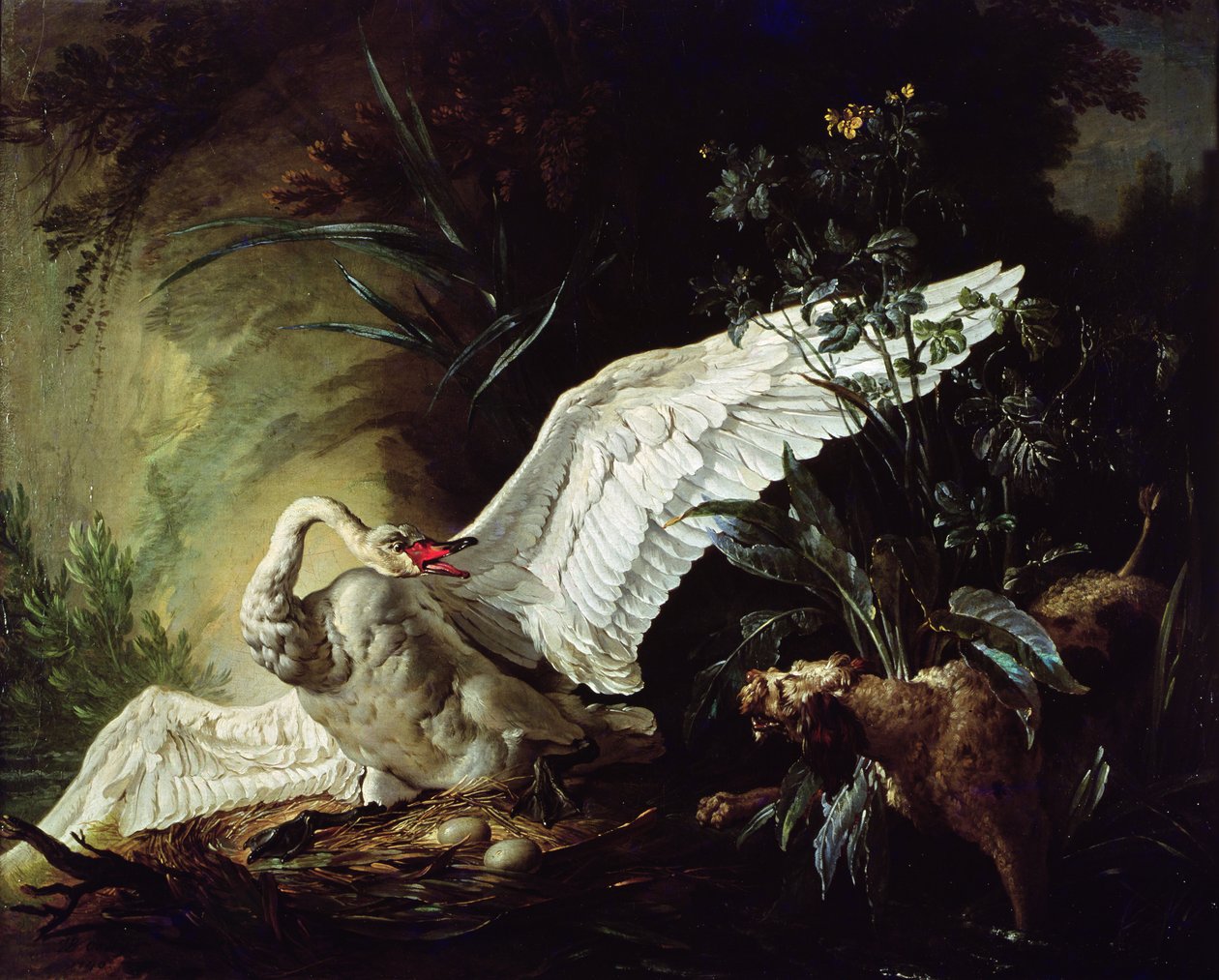 En vannspaniel som angriper en svane på redet, 1740 av Jacques Charles Oudry