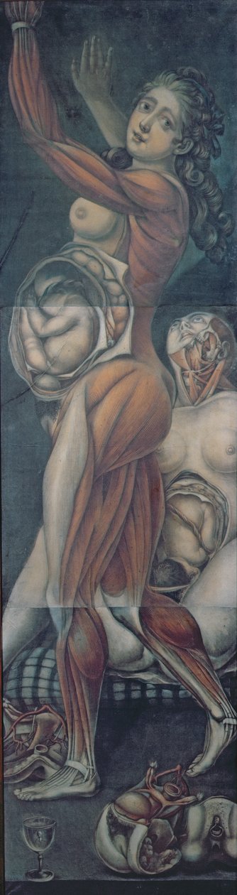 Anatomisk studie av to gravide kvinner (mezzotint) av Jacques Fabien Gautier d