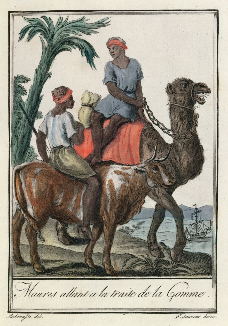 Moores handel med tyggegummi (Mauritania eller Senegambia), fra 